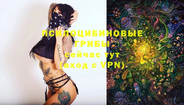 круглые Алексин