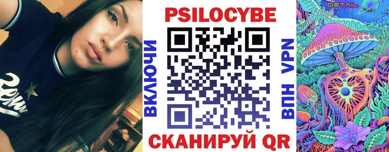 Псилоцибиновые грибы Psilocybe Ишим