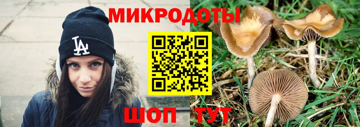 Ишим  Галлюциногенные грибы GOLDEN TEACHER  Вход с VPN 